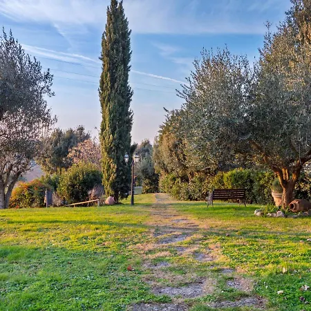 Blissful In Castiglione Del With Swimming Pool Tatil Evi Castiglione del Lago