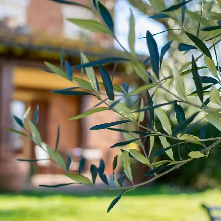 Blissful In Castiglione Del With Swimming Pool * Castiglione del Lago